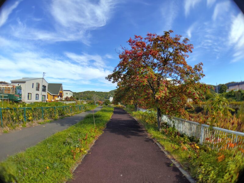 札幌市西区の発寒川緑地を広角レンズで撮影