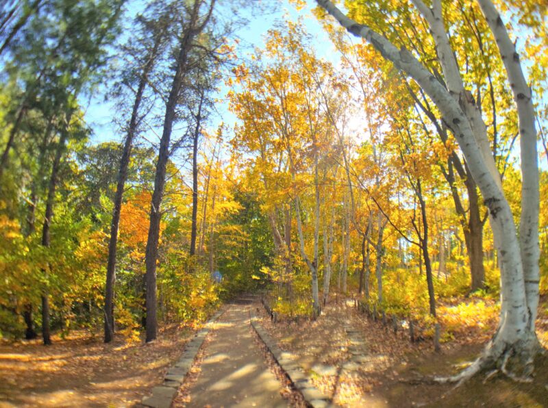 札幌市豊平区の秋の月寒公園（広角撮影）