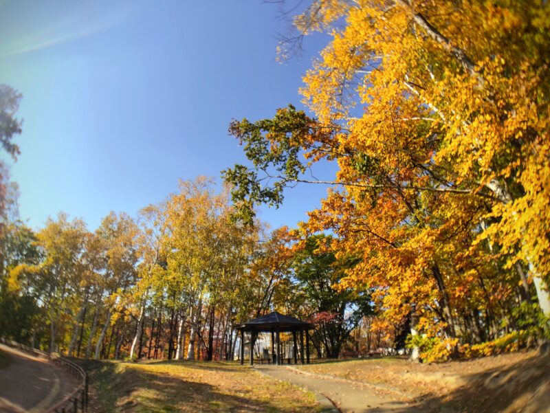 札幌市豊平区月寒公園の東屋（広角撮影）