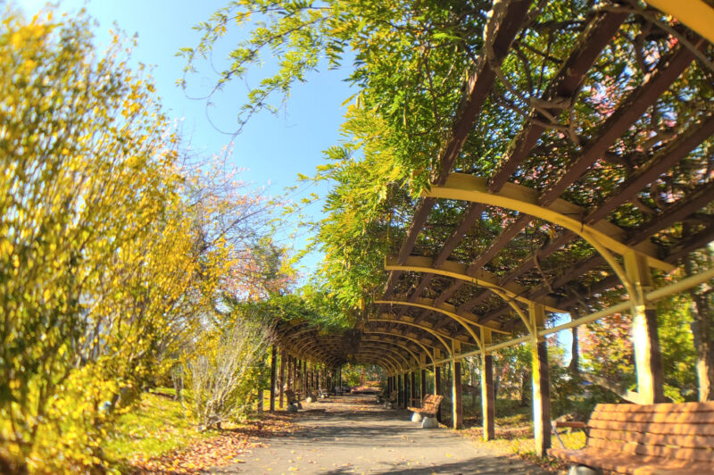 札幌市豊平区月寒公園付近のパーゴラ東屋（広角撮影）