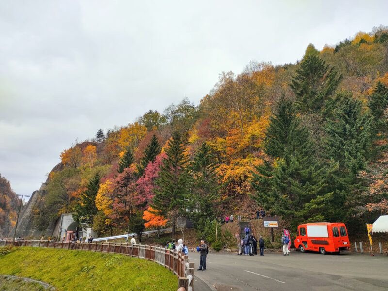 色とりどりな豊平峡ダム湖周辺の紅葉