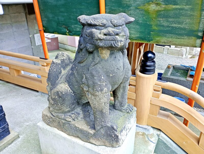妙見山本龍寺の妙見堂の狛犬