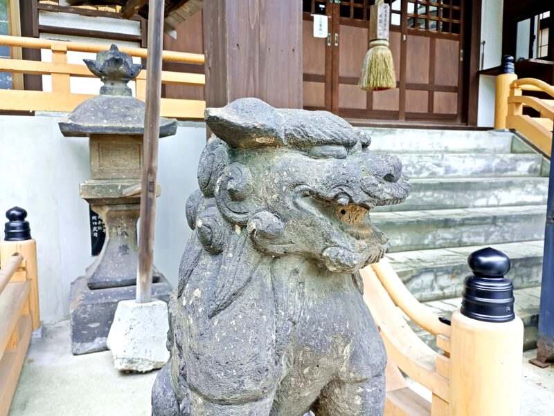 妙見山本龍寺の妙見堂の狛犬