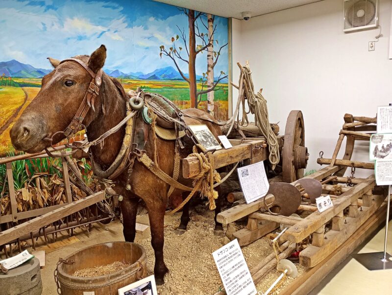 札幌村郷土記念館に展示の馬車を惹くドサンコ(馬)