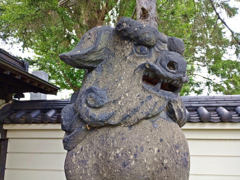 金龍山大覚寺の狛犬
