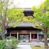 金龍山大覚寺の山門