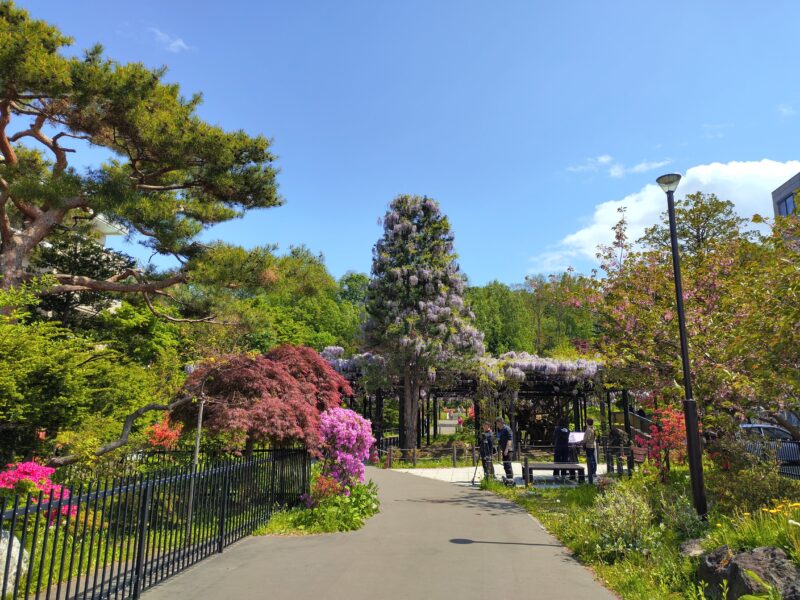 天神藤と龍神神社(若松龍神)に続く通路