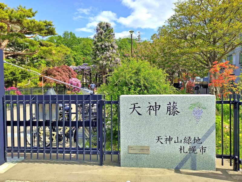 天神藤の入口
