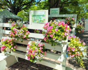 花フェスタ札幌2025出展作品講習会参加者作品