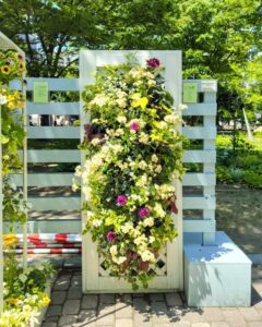 花フェスタ札幌2025出展作品その１