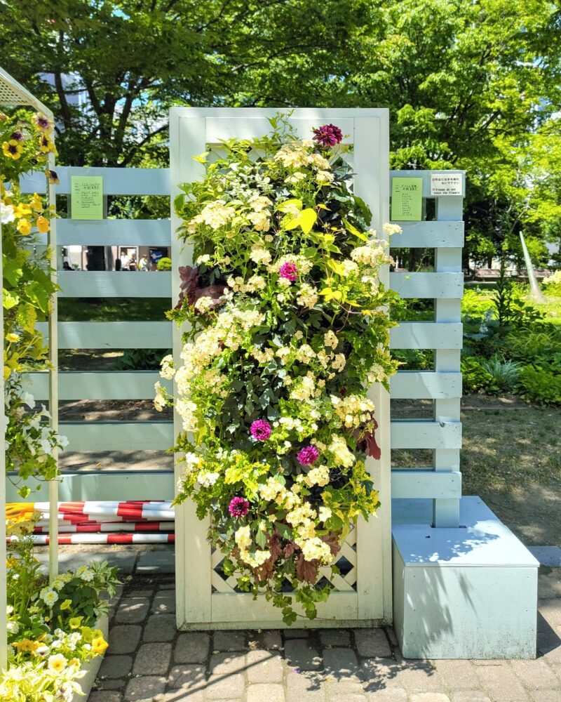 花フェスタ札幌2025出展作品その1