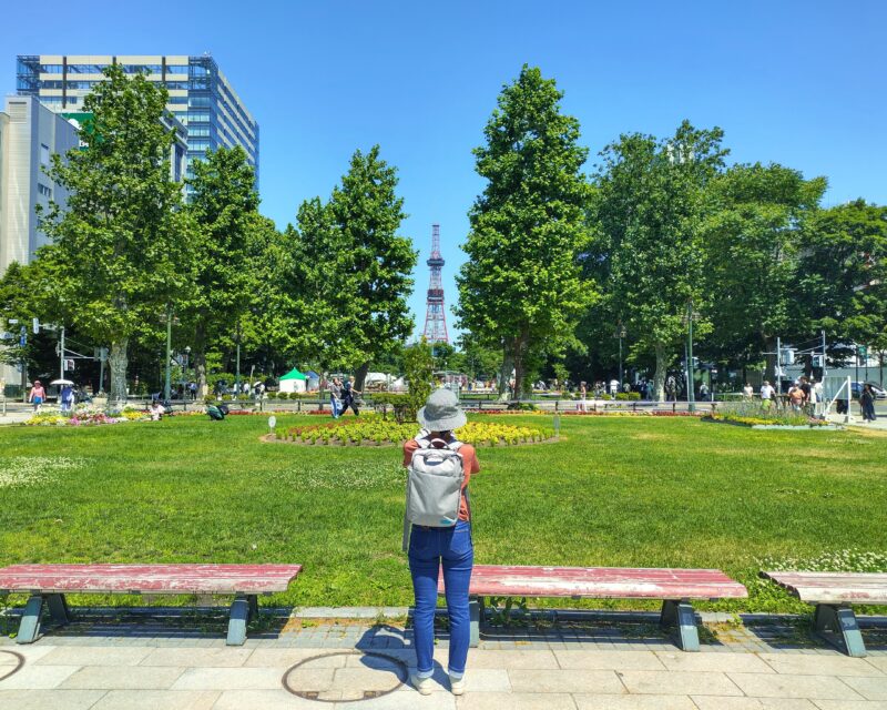 花フェスタ札幌2025 大通公園から望むさっぽろテレビ塔