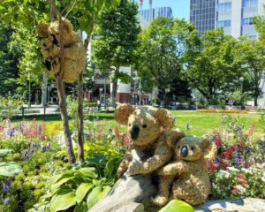花フェスタ札幌2025出展作品　佐藤萬香園