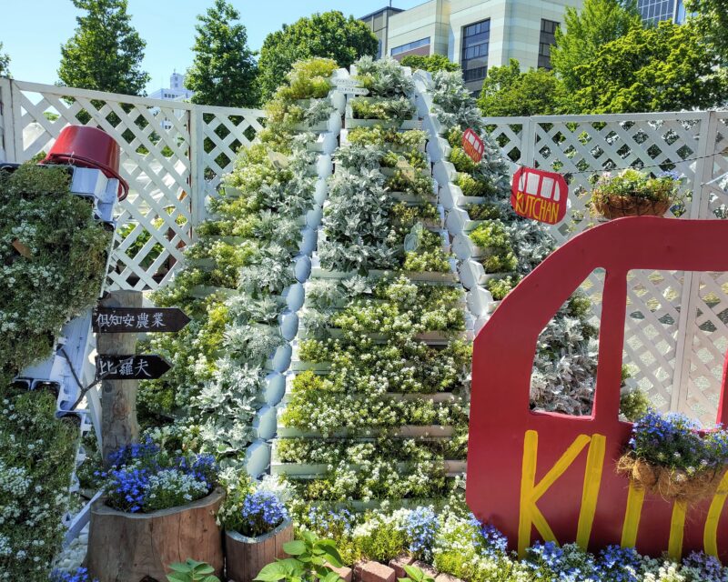 花フェスタ札幌2025 北海道農業高校ガーデニング甲子園 倶知安農業高校