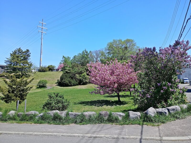 平岸高台公園の全景