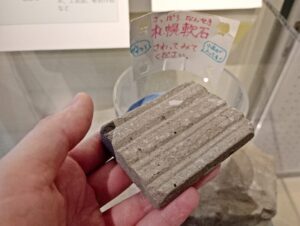 札幌市博物館活動センターに展示の札幌軟石