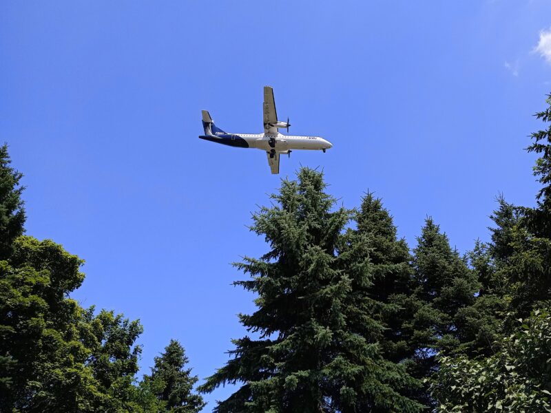 百合が原公園上空を飛行する航空機