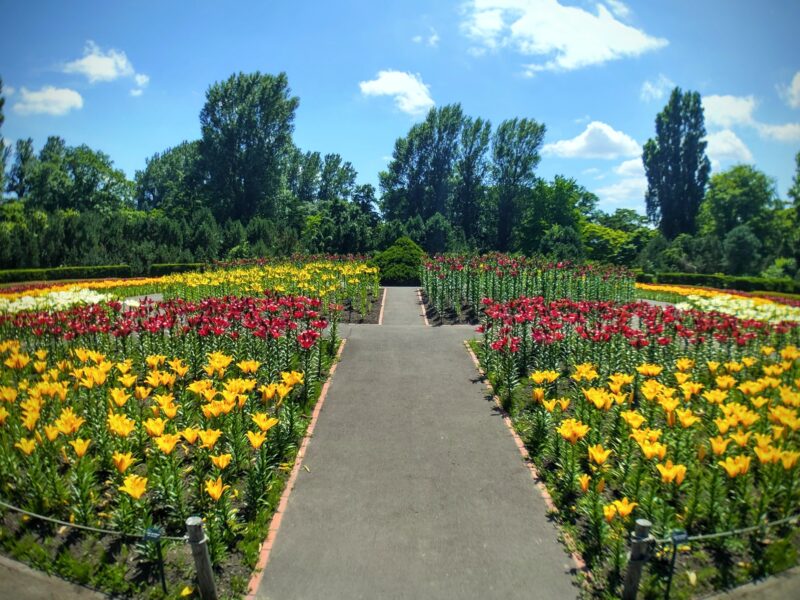 百合が原公園の「世界の百合広場」の中央部