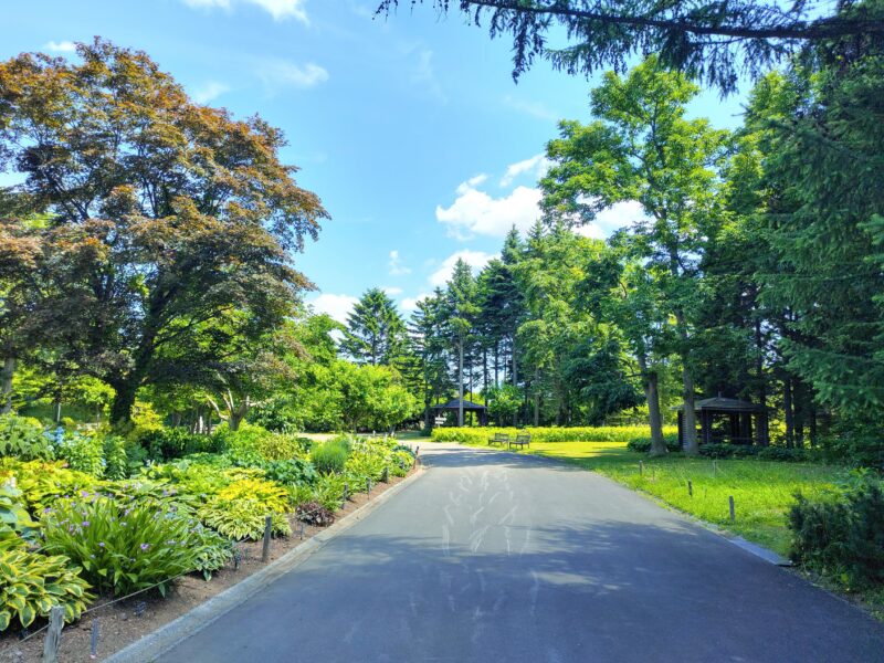 百合が原公園のボーダーガーデン