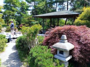 百合が原公園「世界の庭園」その１日本庭園の東屋と石灯籠