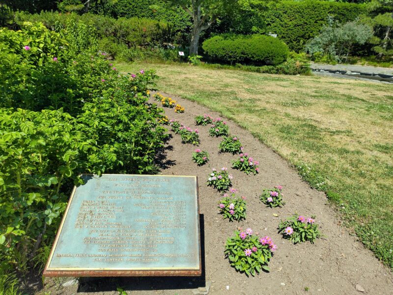 百合が原公園「世界の庭園」その4ポートランドガーデンの花壇