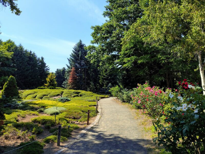 百合が原公園のヒースガーデン