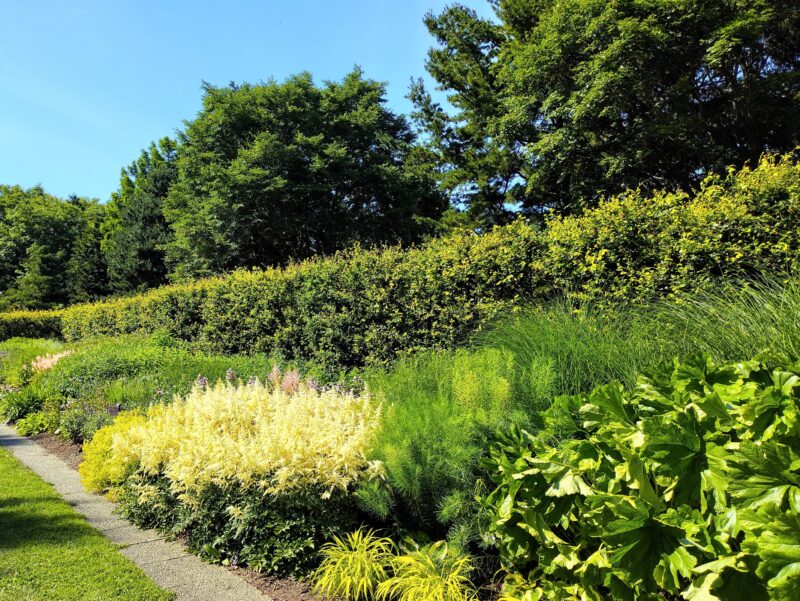 百合が原公園ビーチヘッジの内部