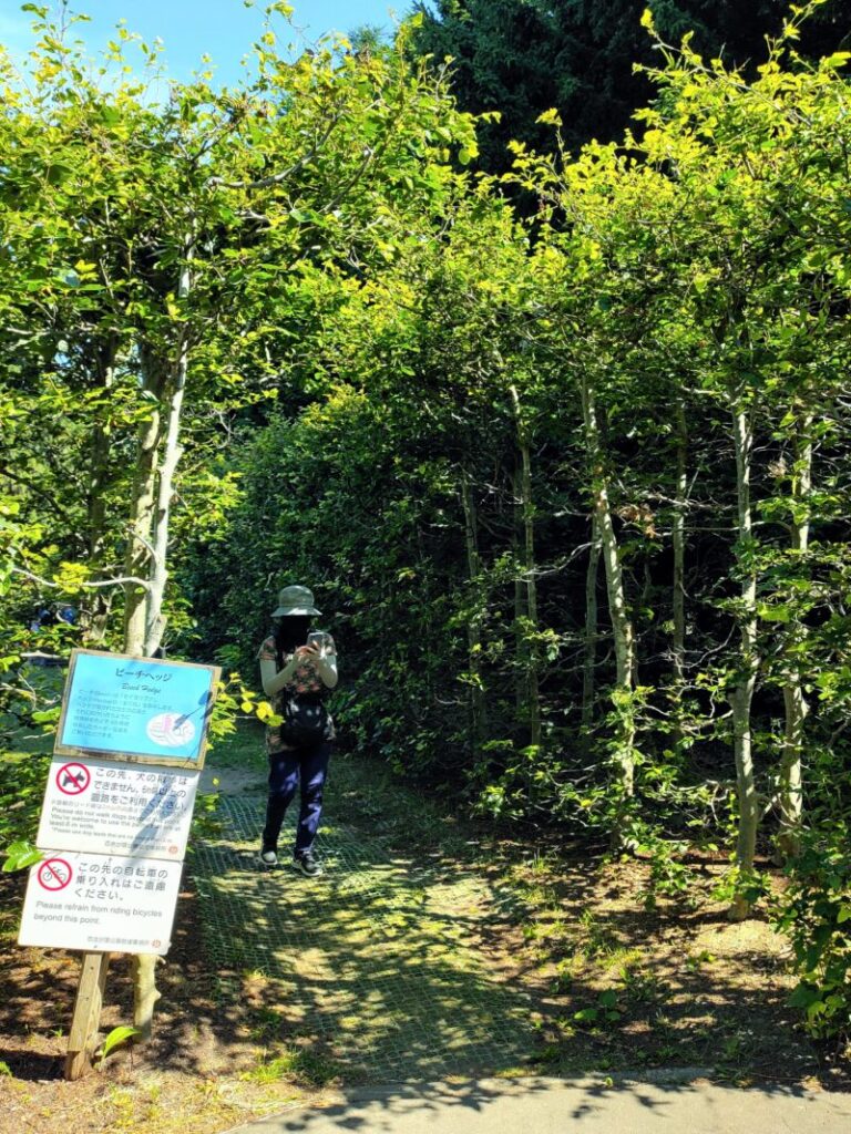 百合が原公園のビーチヘッジのエントランス