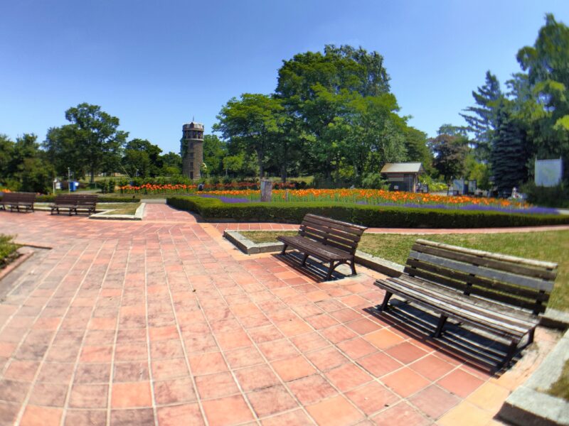 百合が原公園噴水周辺のベンチと小径