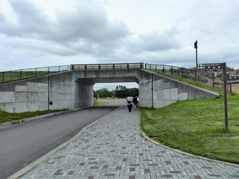 サッポロさとらんどのさとのかけ橋の下側