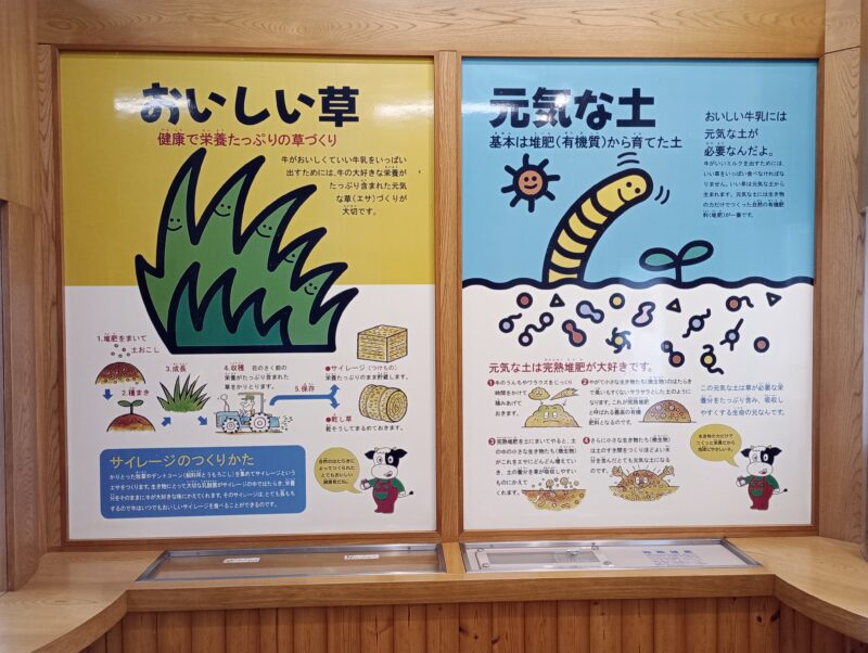 サツラクミルクの郷牛の館の展示その２