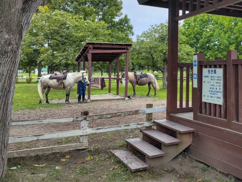サッポロさとらんどの引き馬体験コーナー
