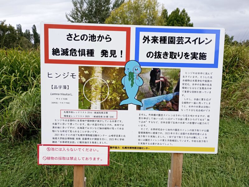サッポロさとらんどのさとの池
