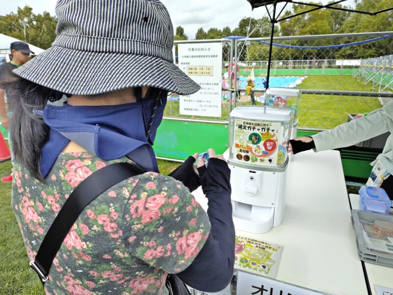 縄文ガチャガチャを開封するところ