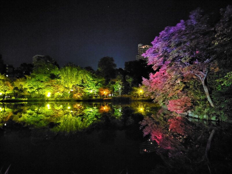 中島公園の菖蒲池の紅葉ライトアップ