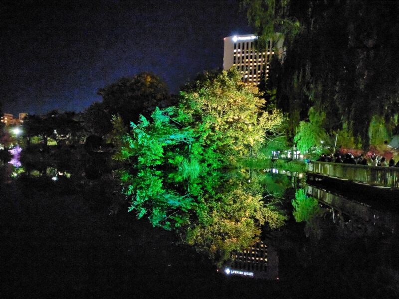 中島公園の菖蒲池の紅葉ライトアップ