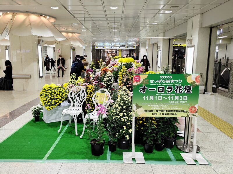 2025年さっぽろ菊まつりの展示(オーロラタウン)