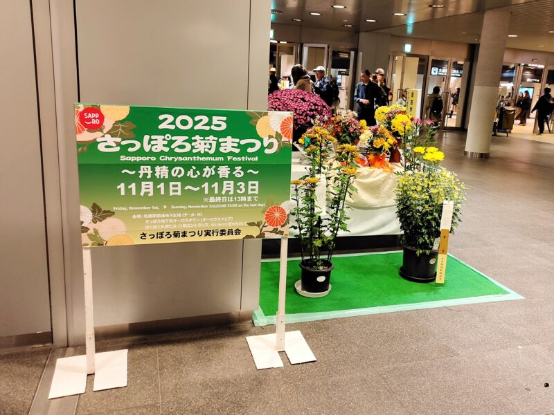 2025年さっぽろ菊まつりチ・カ・ホ会場(北大通交差点広場)