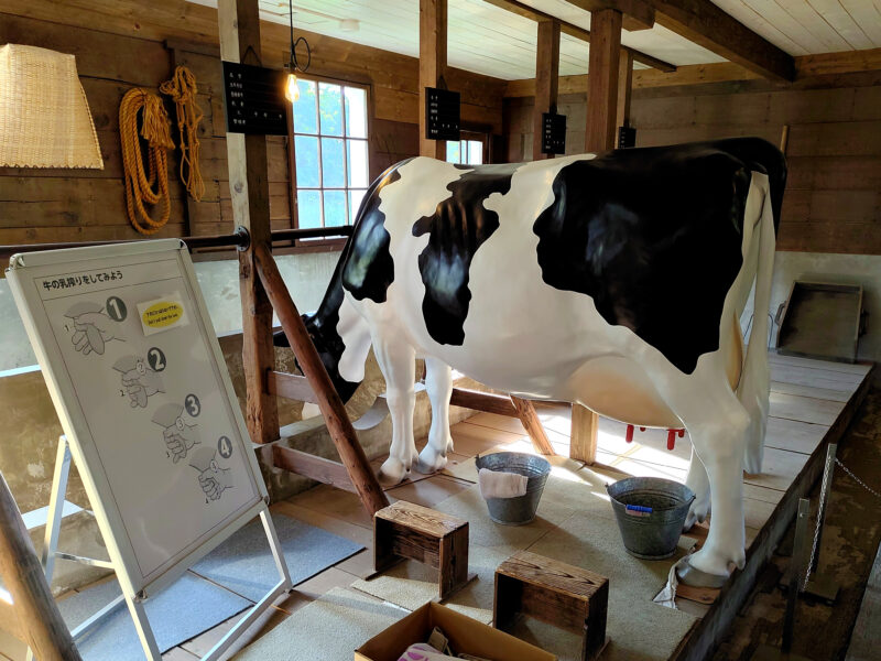 旧小川家酪農畜舎の牛の模型