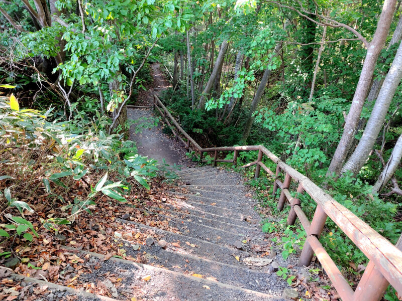 山村群へ移動中の景色
