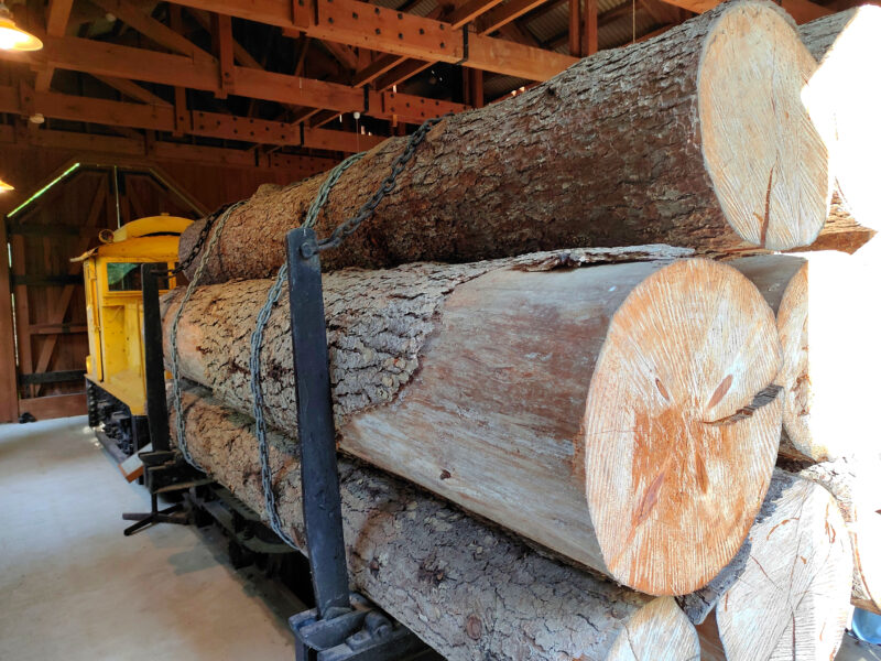 森林鉄道機関庫の機関車の展示