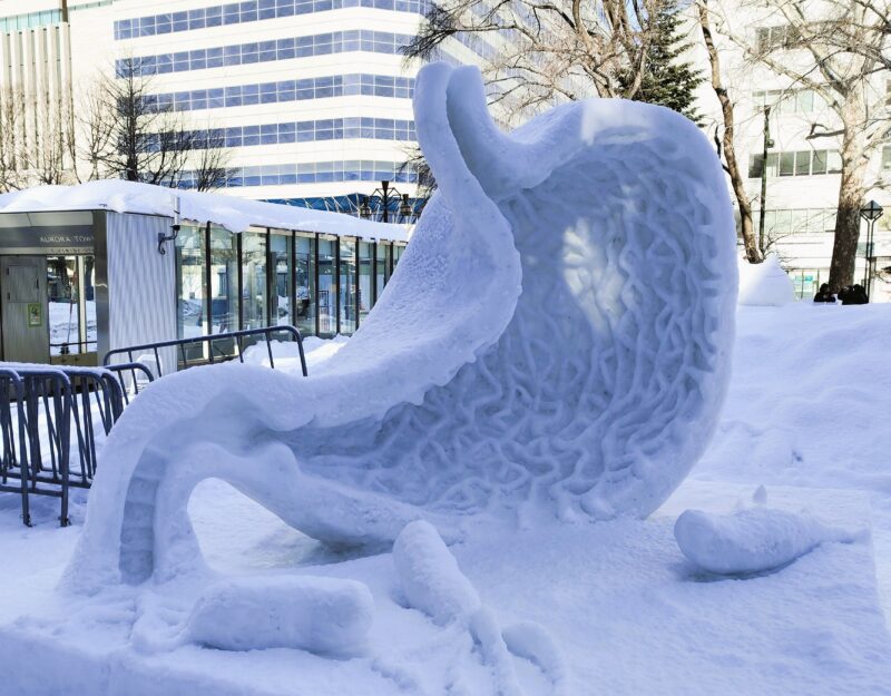 さっぽろ雪まつり2026年2丁目会場市民雪像その４