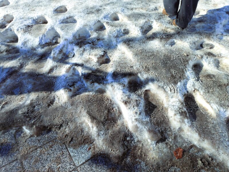 さっぽろ雪まつり2026年5丁目会場の横断歩道の様子