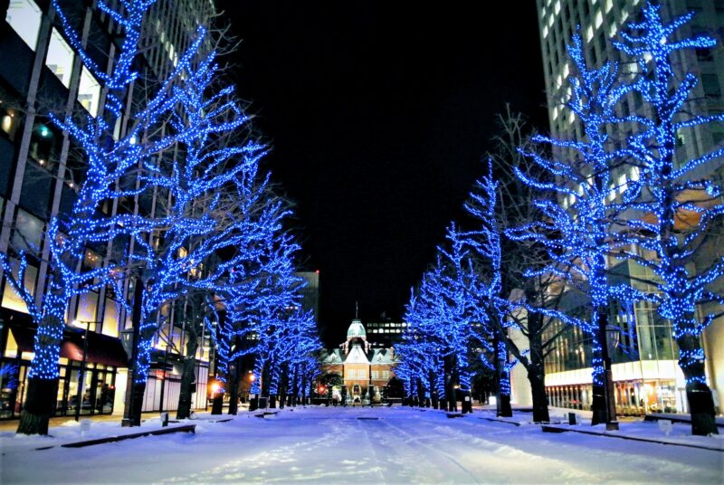 冬の北海道庁旧本庁舎（赤れんが庁舎）※改修前