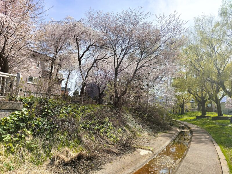 旧軽川緑地（堤防の下）