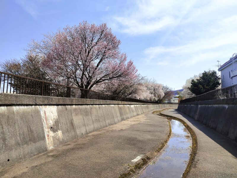 旧軽川緑地（堤防の下その２）
