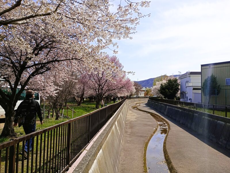 旧軽川緑地中腹あたりをゆく筆者