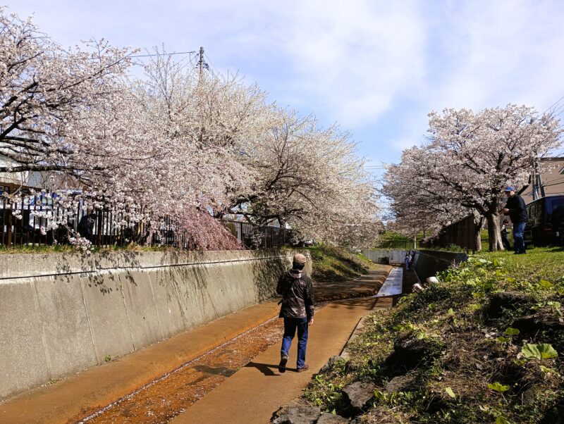 旧軽川緑地をゆく筆者