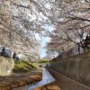 旧軽川緑地