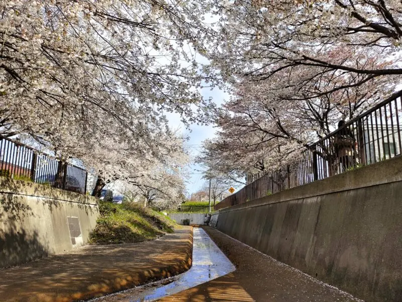 旧軽川緑地
